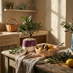 Bonsai di ulivo 