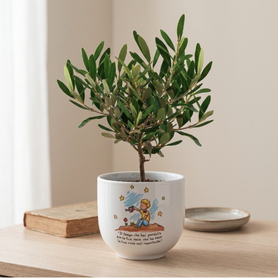 Bonsai Piccolo Principe Cielo 