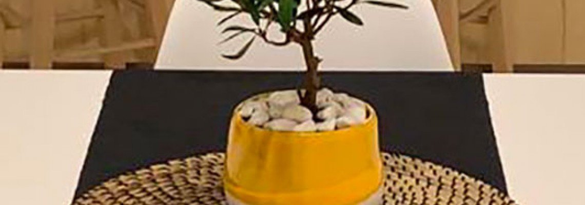 Piante Piante