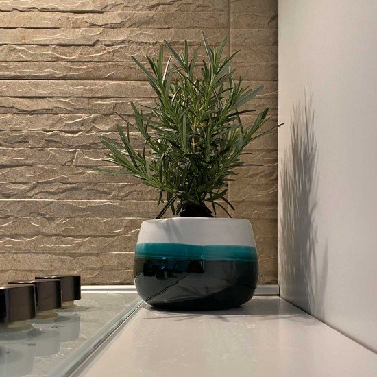 Vaso con spezia Vaso con spezia