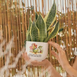 Vaso Sirenetta Oceano con Sansevieria Vaso Sirenetta Oceano con Sansevieria