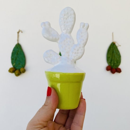 Mini Cactus in ceramica