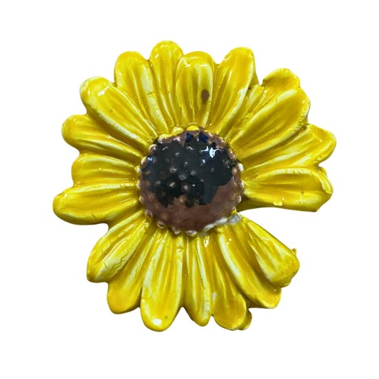 Girasole Calamita