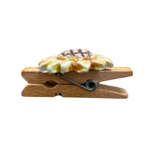 Girasole con mollettina