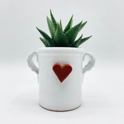 Capasella Pumo Cuore Rosso in 3D