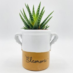 Capasella Pumo Personalizzabile 8cm Capasella Pumo Personalizzabile 8cm