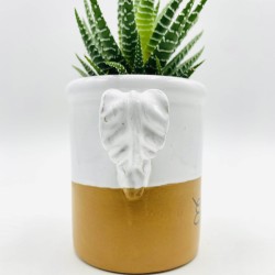 Capasella Pumo Personalizzabile 8cm Capasella Pumo Personalizzabile 8cm