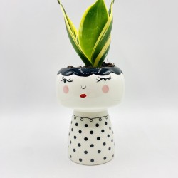 Vaso viso emozionale Vaso viso emozionale