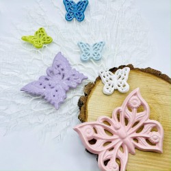 Armonia di Farfalle Armonia di Farfalle