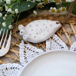 Mini fico d'india  Mini fico d'india