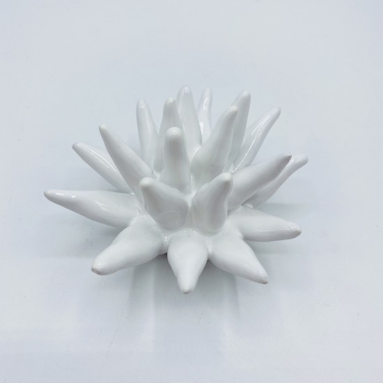 10 Migliori Riccio Di Mare In Ceramica In Italia