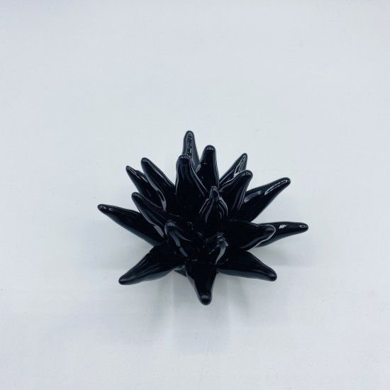 Riccio di mare 7 cm Riccio di mare 7 cm
