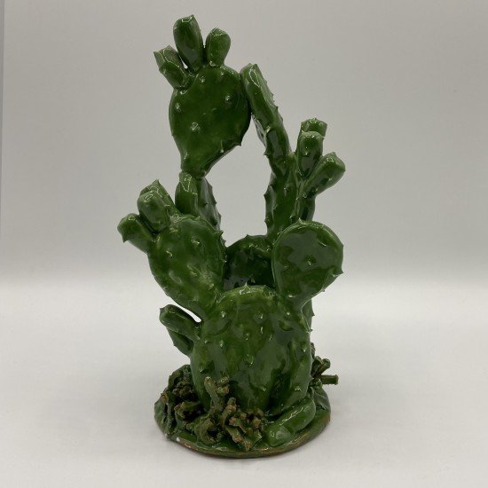 Cactus Cactus