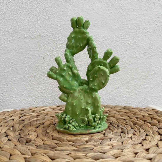 Cactus Cactus