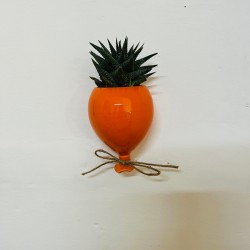 Palloncino vaso Palloncino vaso