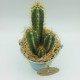 Pianta cactus con vaso