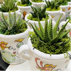 Capasella Piccolo principe 9cm