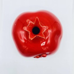 Melograno 8 cm Melograno 8 cm