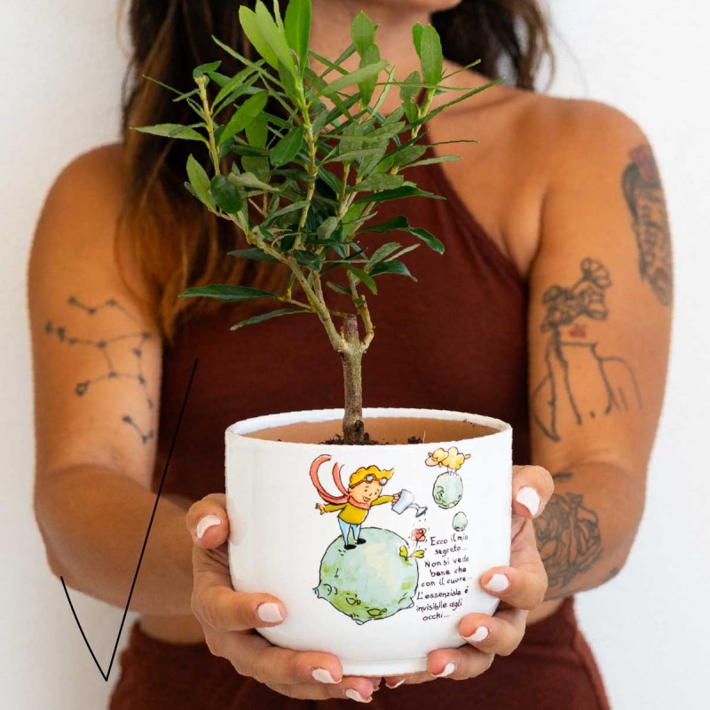 2 Vasi Bonsai Smaltati Piccoli Con 4 Reti Drenaggio - Fioriere In Ceramica Per Piante Grasse, Cactus, Shohin - Regalo Giardinaggio - 5