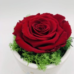 Tazza Mug Piccolo Principe con Rosa Stabilizzata Tazza Mug Piccolo Principe con Rosa Stabilizzata