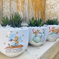 Vaso Piccolo Principe Cielo con Piantine Vaso Piccolo Principe Cielo con Piantine