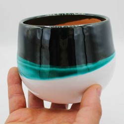 Vaso con Sansevieria