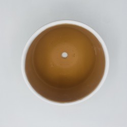 Vaso Piccolo Principe Cielo con Sansevieria Vaso Piccolo Principe Cielo con Sansevieria