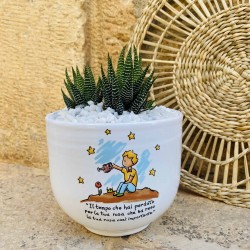 Vaso Piccolo Principe Cielo con Piantine Vaso Piccolo Principe Cielo con Piantine