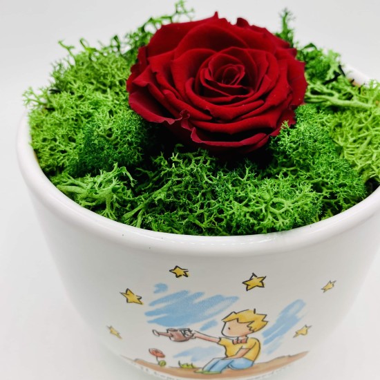 Vaso Piccolo Principe Cielo con Rosa Stabilizzata Vaso Piccolo Principe Cielo con Rosa Stabilizzata
