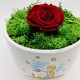 Vaso Piccolo Principe Cielo con Rosa Stabilizzata Vaso Piccolo Principe Cielo con Rosa Stabilizzata