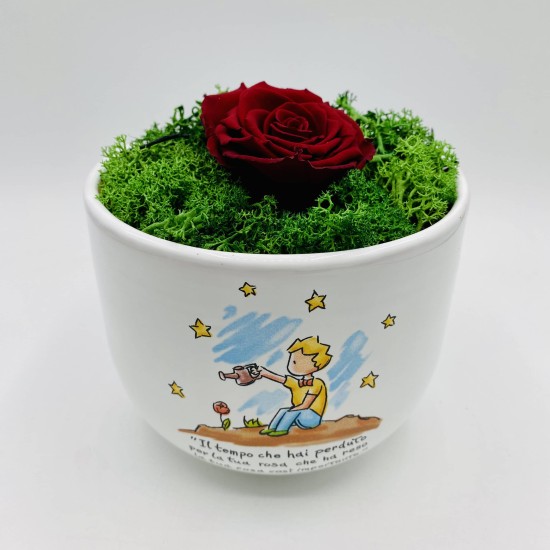 Vaso Piccolo Principe Cielo con Rosa Stabilizzata Vaso Piccolo Principe Cielo con Rosa Stabilizzata