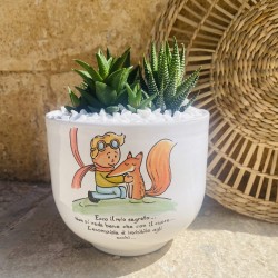 Vaso Piccolo Principe Natura con Piantine Vaso Piccolo Principe Natura con Piantine