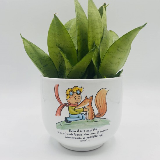 Vaso Piccolo Principe Natura con Sansevieria