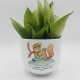 Vaso Piccolo Principe Natura con Sansevieria