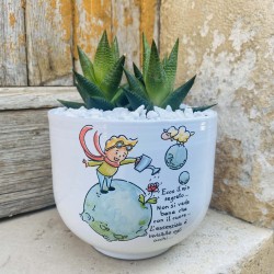 Vaso Piccolo Principe Terra con Piantine Vaso Piccolo Principe Terra con Piantine