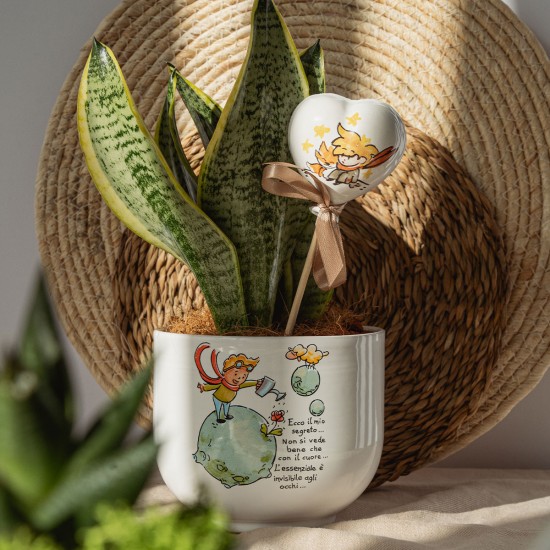 Vaso Piccolo Principe Terra con Sansevieria