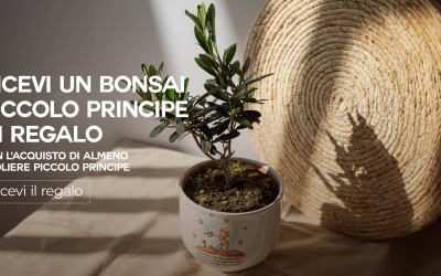 Promozioni su ordini bomboniera di Luglio