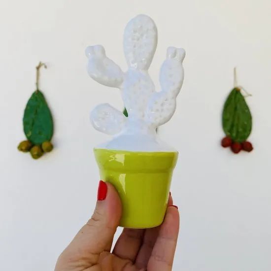 Mini cactus