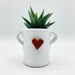 Capasella Pumo Cuore Rosso in 3D